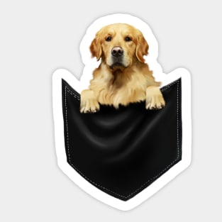 Golden Retriever Dog inside Pocket, Dog Lover Sticker